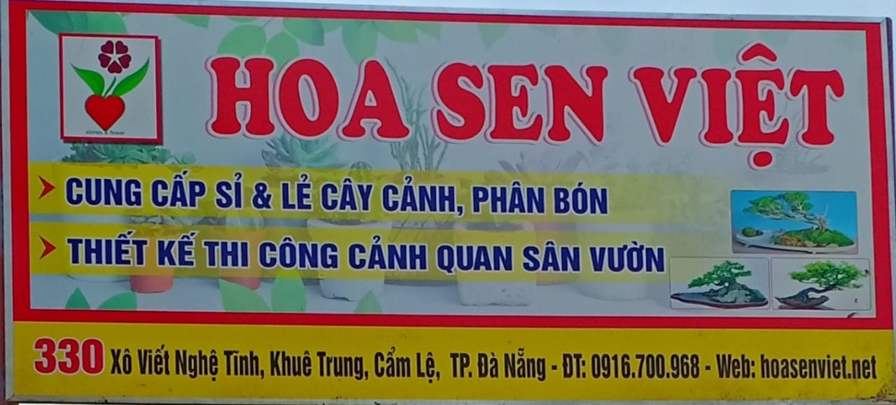Địa chỉ bán cây hồng giòn giá rẻ tại Đà Nẵng