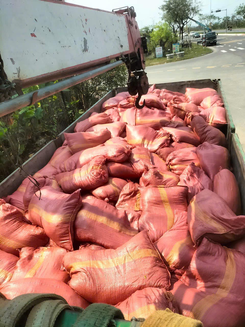 xơ dừa đà nẵng