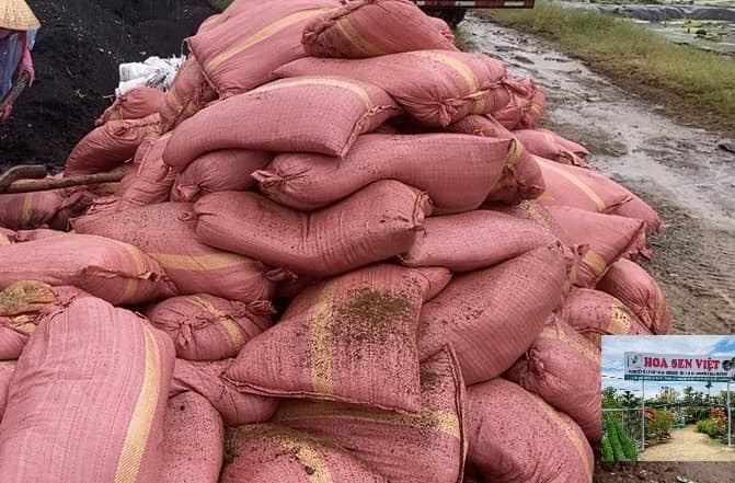 xơ dừa đà nẵng