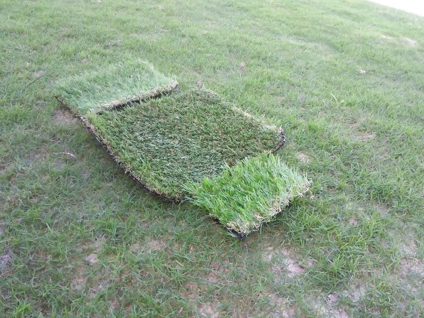 cỏ nhân tạo đà nẵng