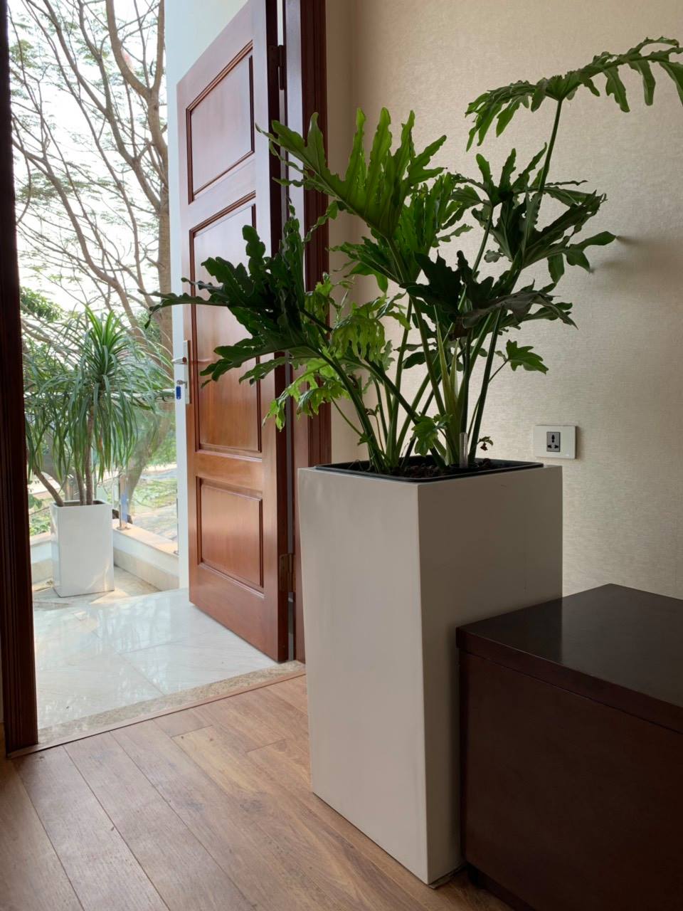 Chậu composite trồng cây trong nhà tại Đà Nẵng