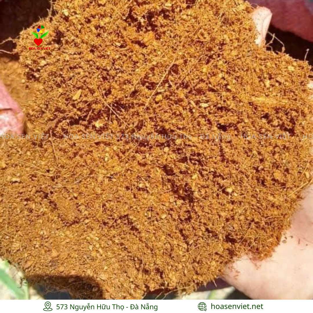 xơ dừa ở đà nẵng